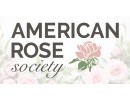 American Rose