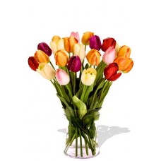 24 Mixed Tulips Bouquet
