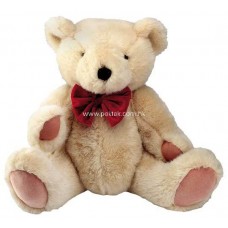 Lovely Teddy Bear (10 Inches Height)